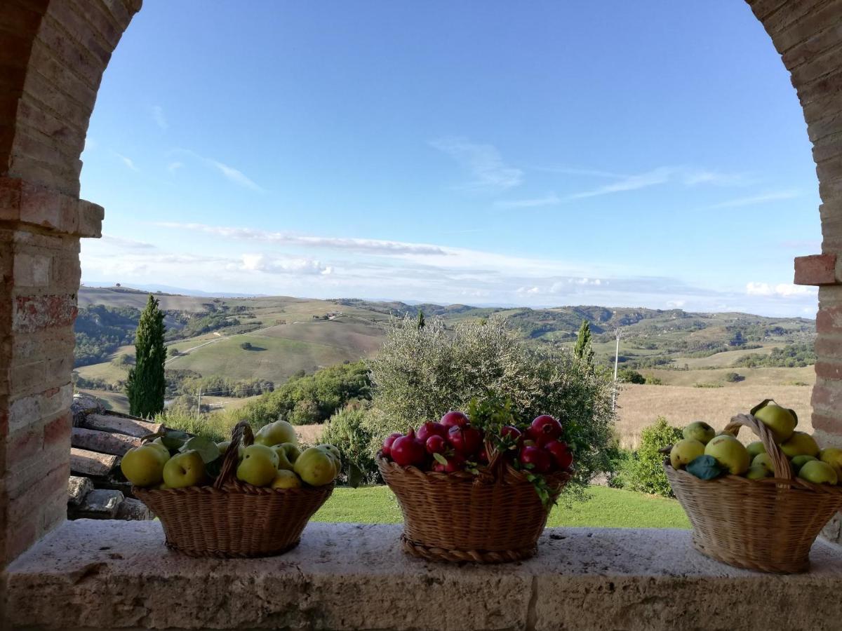 Agriturismo Monsole - מונטלצ'ינו מראה חיצוני תמונה